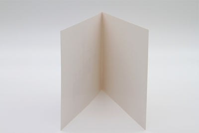 Set of 10: Richard Spare - 'Lone Gull' - Art Greetings Card (10.5 x 15 cm - Single Design)
