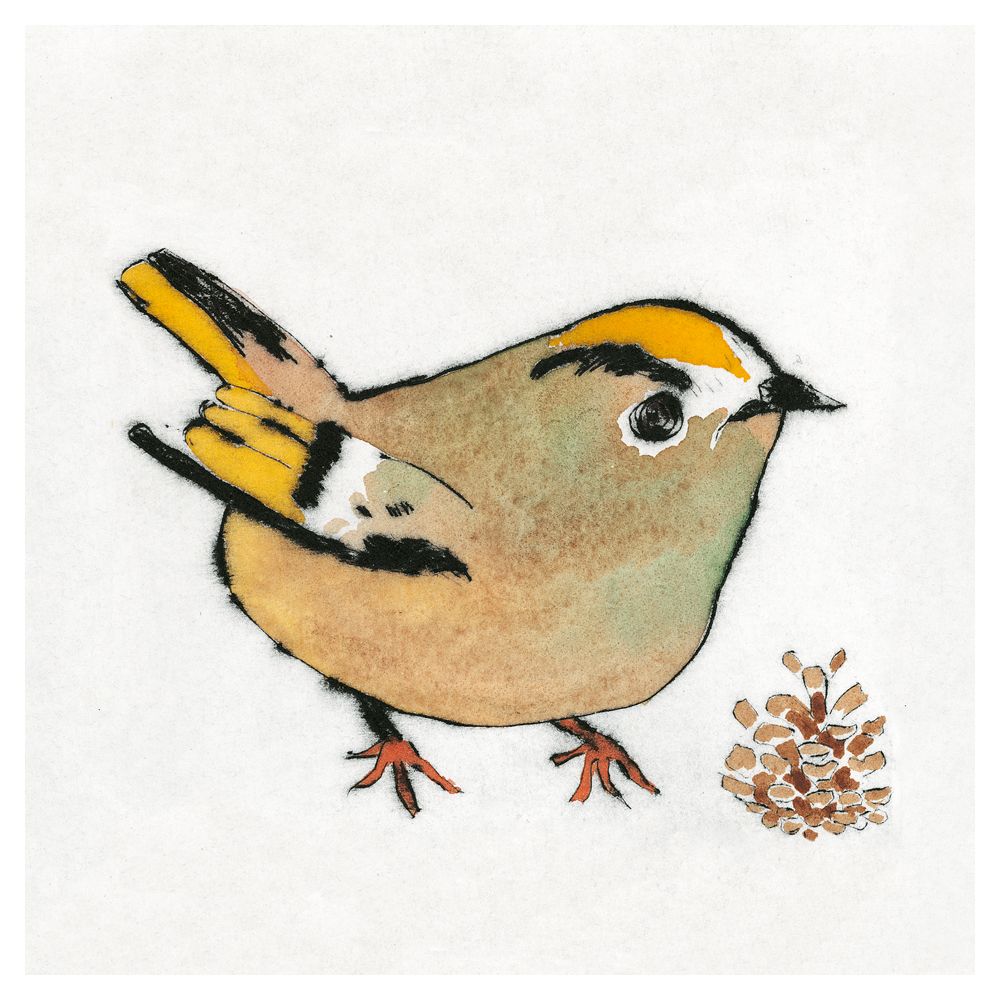 Royal Academy | Richard Spare - Kingfisher and Goldcrest - Set of 6 Art Greeting Cards (15 x 15 cm)