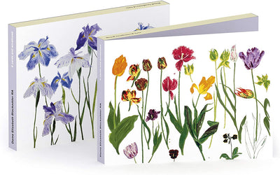 Royal Academy | Elizabeth Blackadder - Tulips and Irises - Set of 6 Art Greeting Cards (12 x 17 cm)