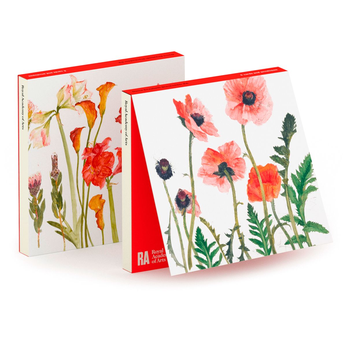 Royal Academy | Elizabeth Blackadder - Floral Set - Set of 6 Art Greeting Cards (15 x 15 cm)