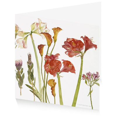 Royal Academy | Elizabeth Blackadder - Floral Set - Set of 6 Art Greeting Cards (15 x 15 cm)