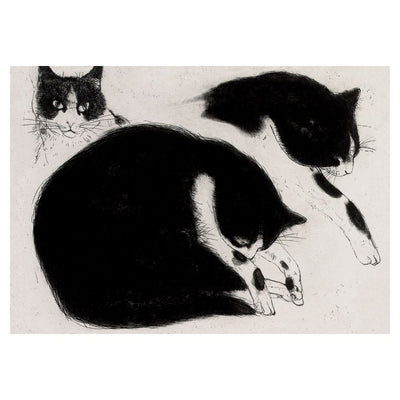 Royal Academy | Elizabeth Blackadder - 'Black and White Cat' - Art Greetings Card (12 x 17 cm)