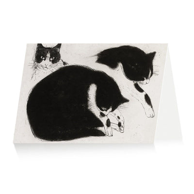 Royal Academy | Elizabeth Blackadder - 'Black and White Cat' - Art Greetings Card (12 x 17 cm)