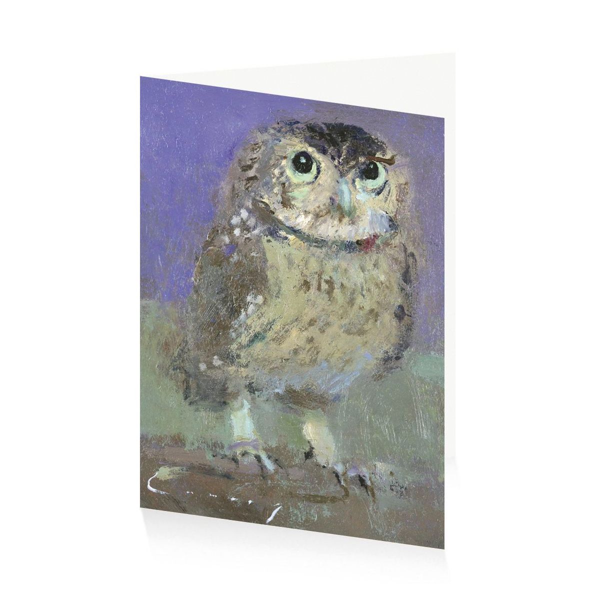 Royal Academy | Fred Cuming - 'Little Owl' - Art Greetings Card (17 x 12 cm)