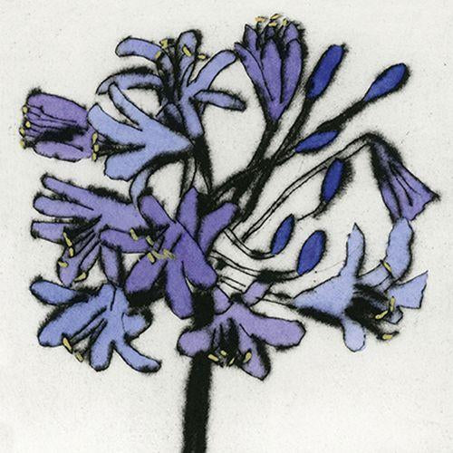 ArtPress | Richard Spare - 'Violet Agapanthus' - Art Greetings Card (15 x 15 cm)