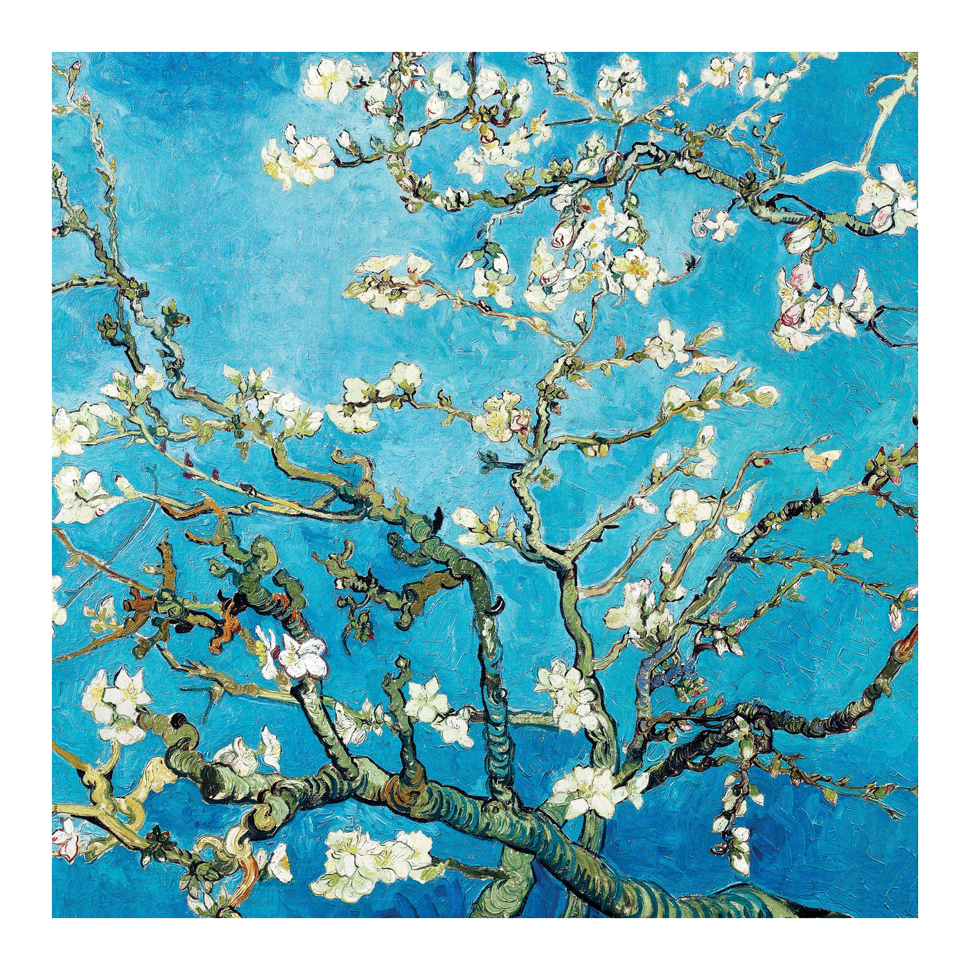 Set of 5: Zero Plastic | Vincent van Gogh - 'Almond Blossom' - Plastic-Negative Art Greetings Card (15 x 15 cm)